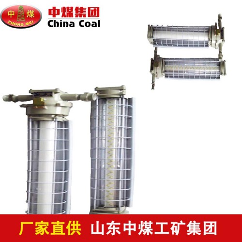 DGS矿用隔爆型(无极)荧光灯   中煤供应荧光灯