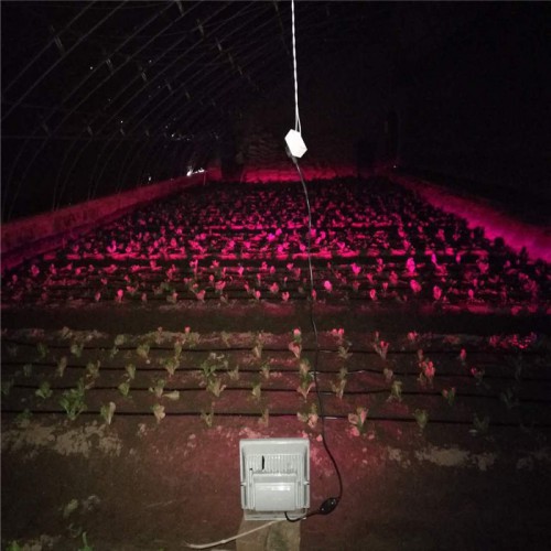 植物补光灯