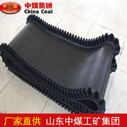 环形挡边带 长期供应挡边带 挡边带型号