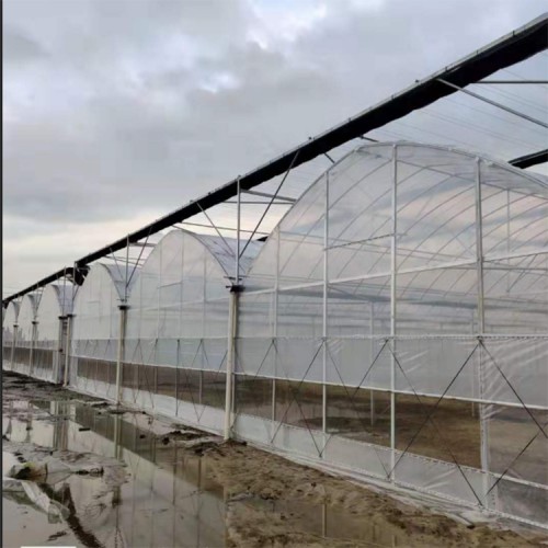 育苗温室 连栋温室大棚 薄膜连栋大棚