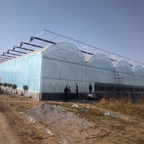 双拱双模大棚 双膜大棚 保温大棚