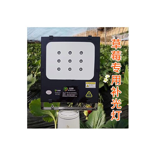 草莓专用补光灯