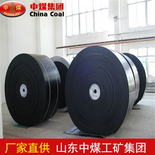 耐酸碱输送带 耐酸碱输送带现货供应