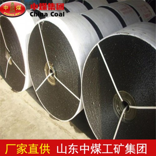 聚脂输送带特点 聚脂输送带现货供应