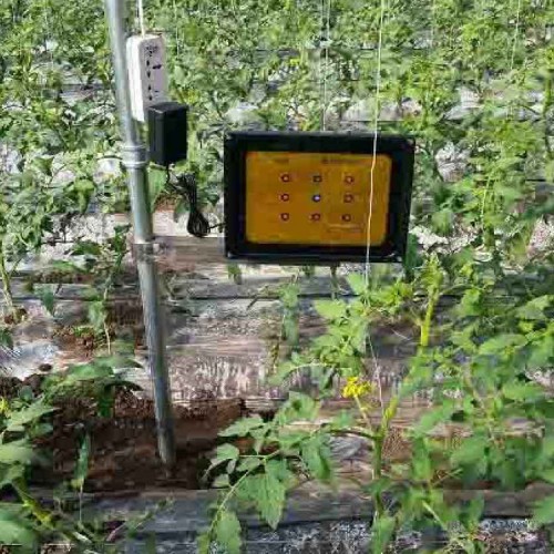 西红柿专用补光灯