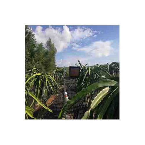 火龙果专用补光灯