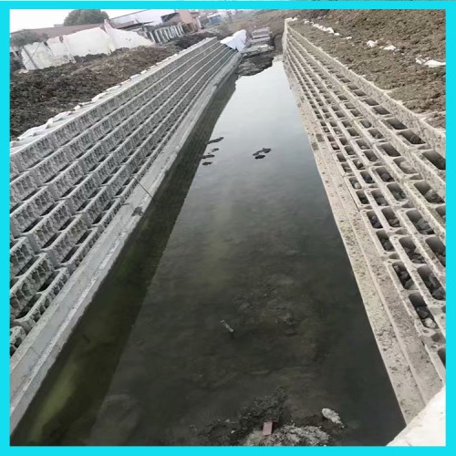 海岸扭王字块模具 河道景观生态板模具