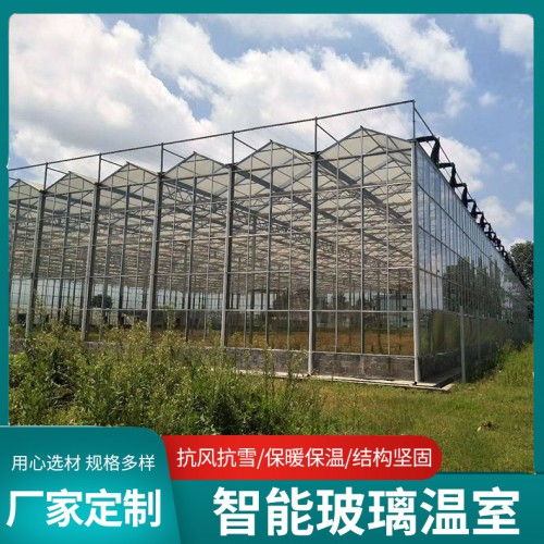玻璃温室 玻璃温室大棚 钢结构玻璃温室棚 玻璃温室棚厂家