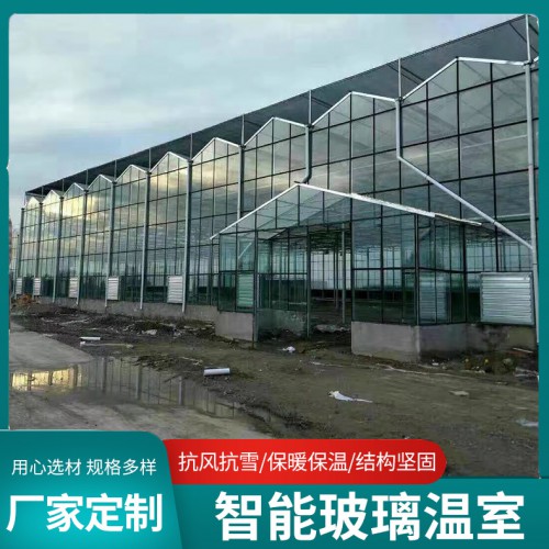 智能玻璃温室 玻璃温室大棚 钢结构玻璃温室棚 玻璃温室棚厂家