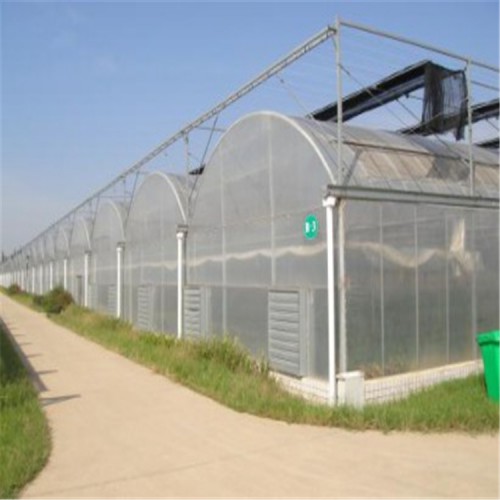 河南薄膜温室大棚建造商 塑料薄膜温室大棚的优点