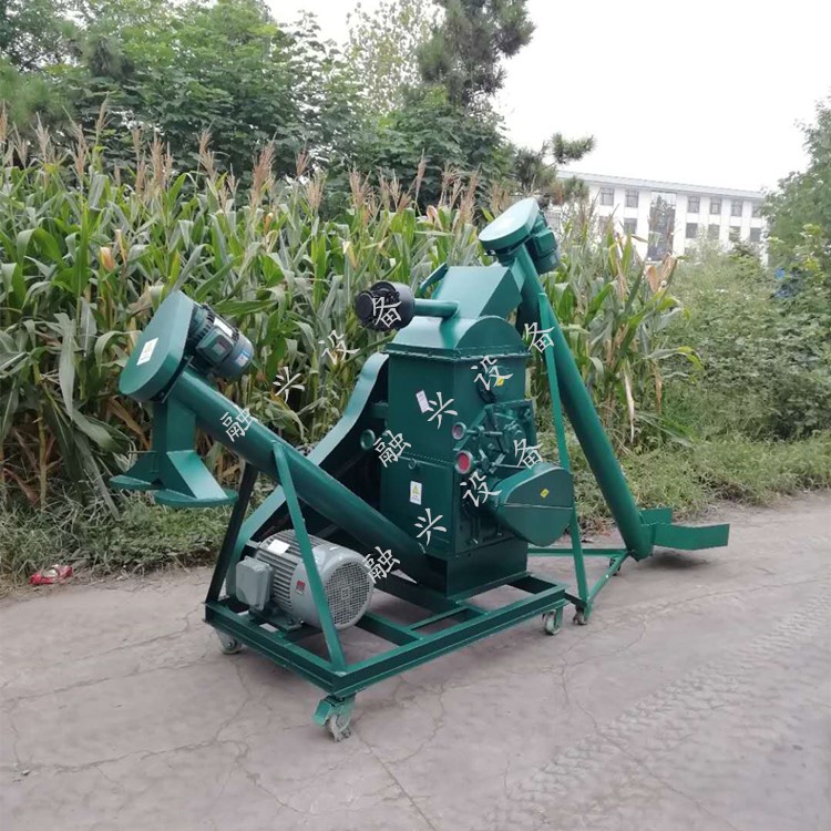 Summer beach concept