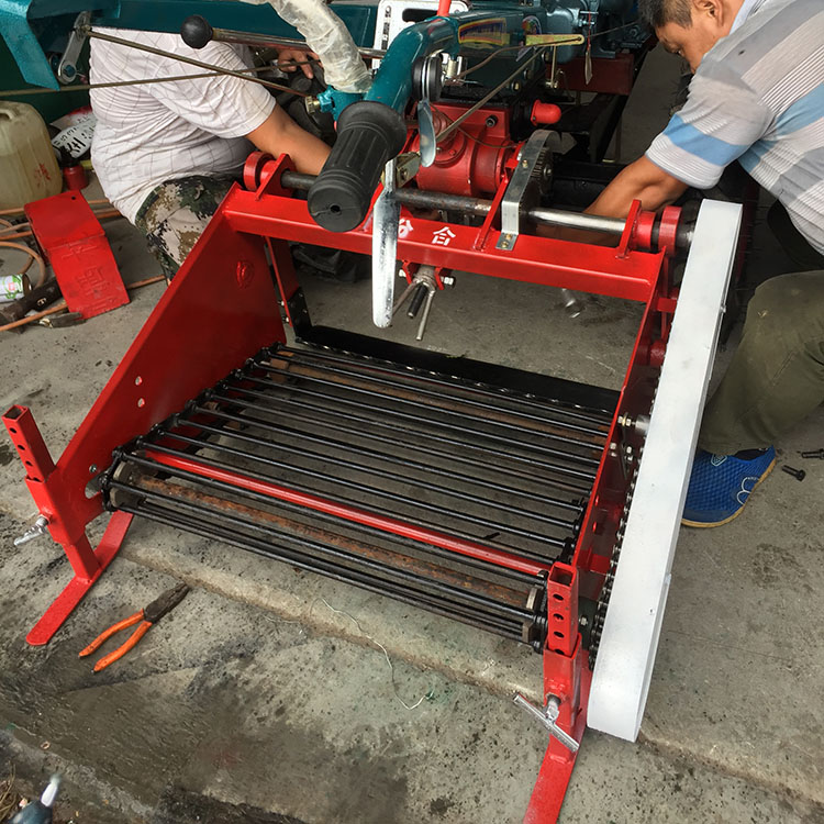 Summer beach concept