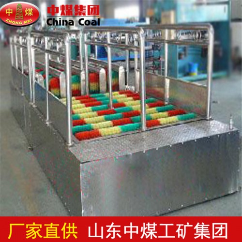 双通道洗靴机价格 单通道洗靴机性能 洗靴机厂家直销