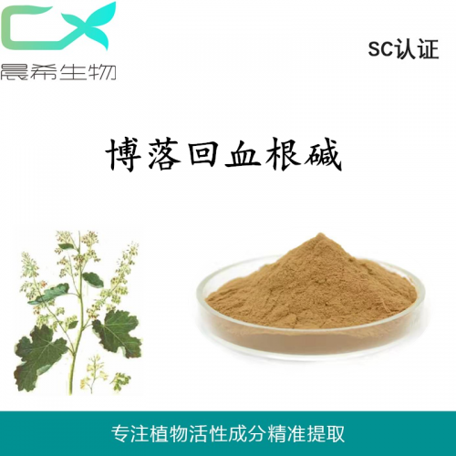 博落回提取物 血根碱40%博落回总碱60%起订量1KG
