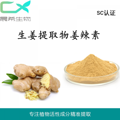 晨希生姜植物提取物生姜姜辣素5%  生姜浸膏粉起订量1KG