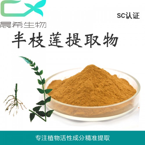 半枝莲提取物 太阳花提取物10:1半枝莲粉起订量1KG