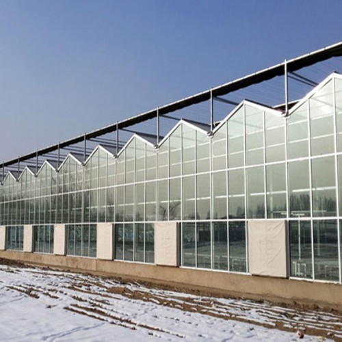 花卉温室大棚建造商 新型温室大棚工程 温室大棚骨架设计