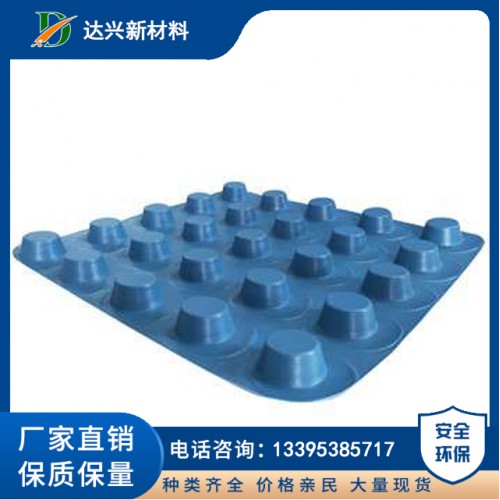 塑料凸片排水板 山东达兴高品质