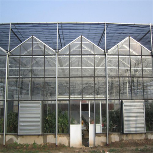 连栋温室大棚工程 建造连栋温室大棚 连栋温室大棚造价成本