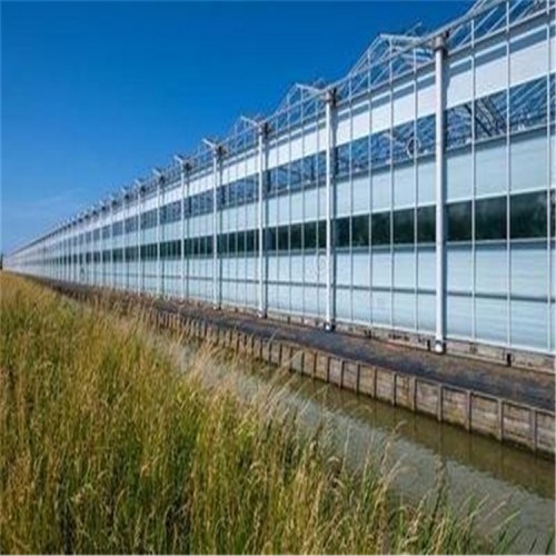 阳光板温室大棚工程 阳光板温室供应商 温室大棚定制