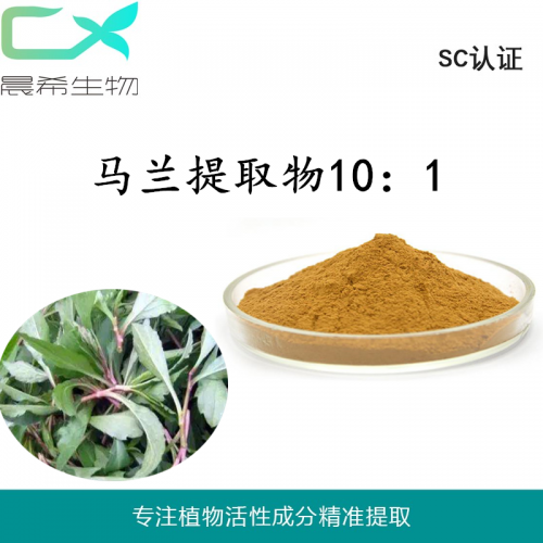 厂家直销马兰提取物10：1马兰粉水溶或醇溶起订1kg现货