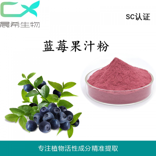 厂家蓝莓果汁粉10：1蓝莓果粉 蓝莓浓缩汁粉全水溶1KG起订