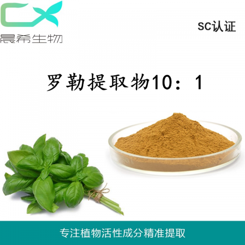 厂家罗勒提取物10:1 罗勒草粉水溶或醇溶起订1KG现货包邮