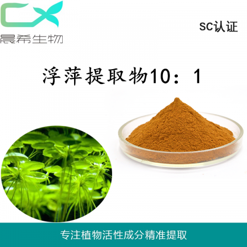 厂家浮萍草提取物10：1 浮萍粉水溶或醇溶1kg起订现货