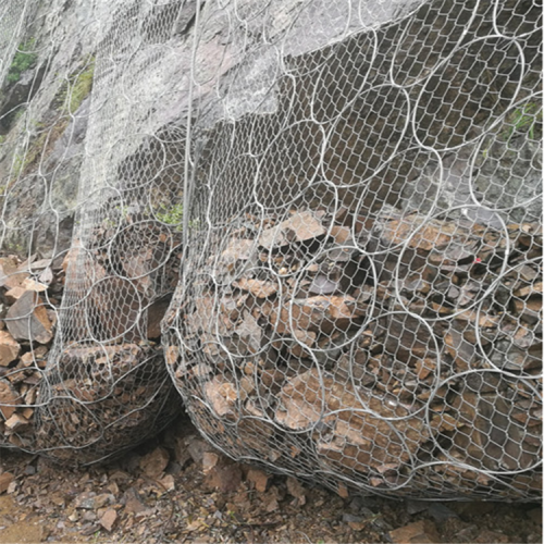 开口式帘式网厂家 开口帘式网规格 覆盖式帘式网现货厂家