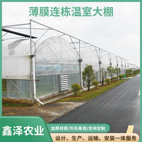 保温大棚 双膜保温温室大棚 双拱双膜温室大棚
