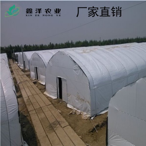 香菇大棚 养殖大棚 蘑菇大棚