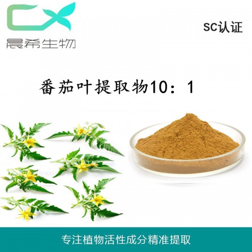 厂家全水溶番茄叶提取物10：1番茄叶粉1kg起订现货