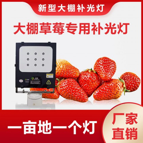 草莓专用补光灯