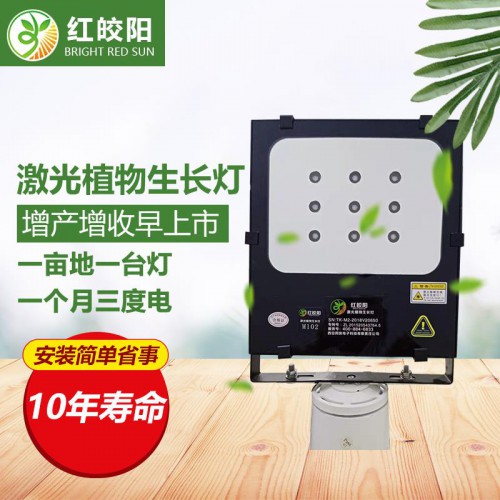 甜瓜植物补光灯