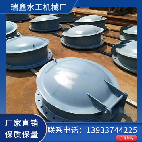 拍门 钢制拍门 不锈钢拍门