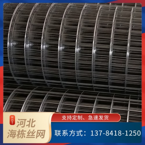 高速公路用高强钢丝网 高强弹簧钢丝网 钢丝格栅