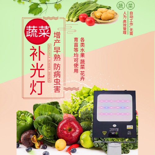 西红柿补光灯