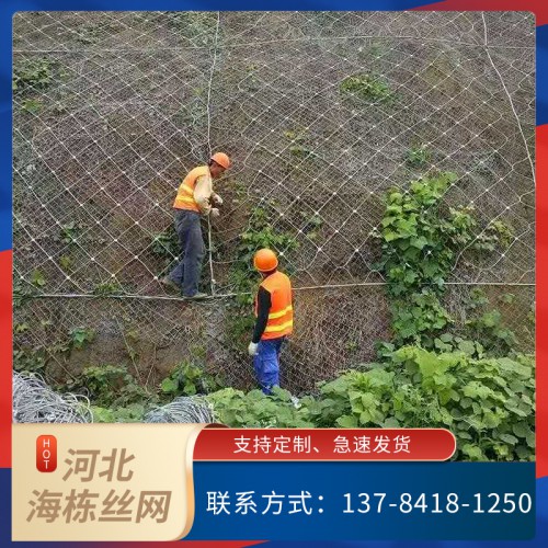 边坡防护网厂家 海栋 柔性主动防护网
