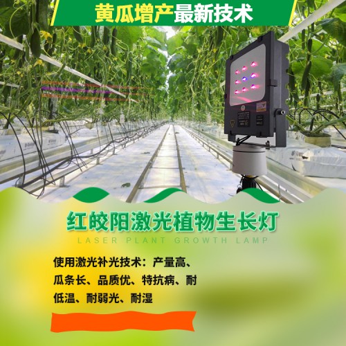 黄瓜补光灯