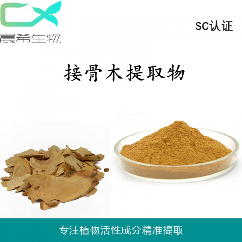 接骨木提取物10：1接骨木粉水溶或醇溶1kg起订现货