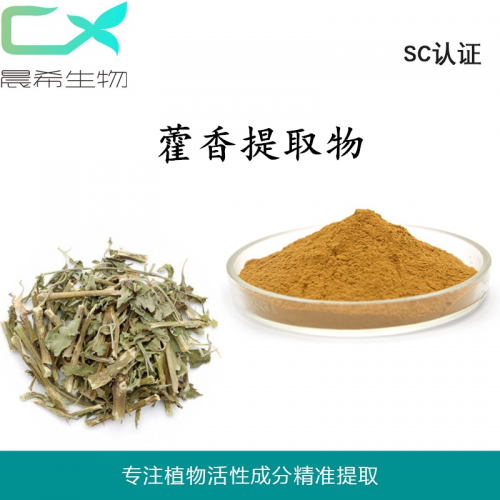 藿香提取物10：1藿香粉水溶或醇溶1kg起订现货全国包邮