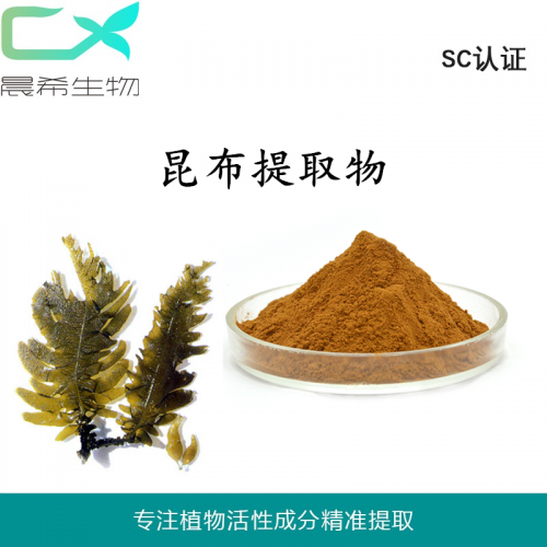 昆布/海带提取物10：1昆布粉水溶或醇溶起订量1KG现货