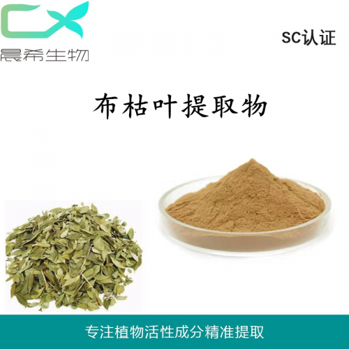 厂家直销布枯叶提取物布枯叶粉 布枯叶黄酮1kg起订全国包邮