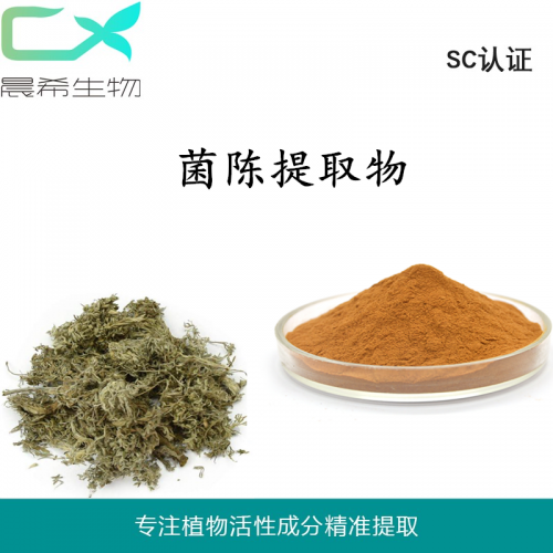 菌陈提取物10：1菌陈超微粉水溶或醇溶1kg起订现货包邮