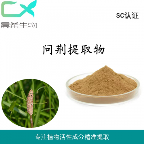 问荆提取物10:1问荆粉 问荆浸膏粉全水溶或醇溶现货包邮