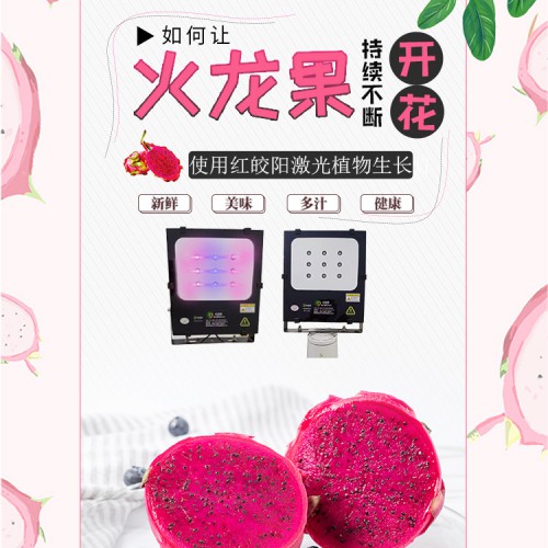 红皎阳激光补光灯厂家