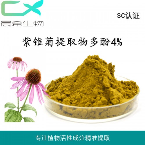 紫锥菊提取物多酚4%紫锥菊粉现货供应起订量1KG 现货包邮