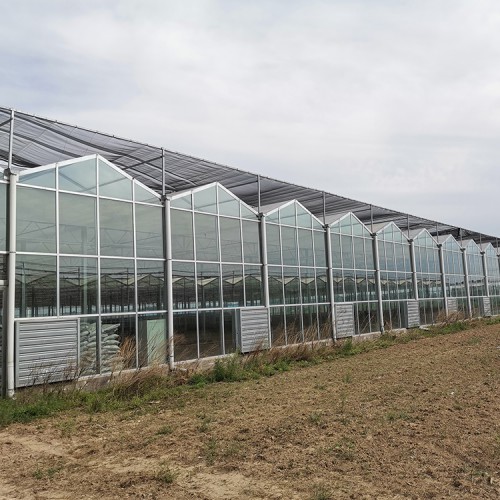 大型玻璃温室建造商 玻璃温室的功能 玻璃温室厂家