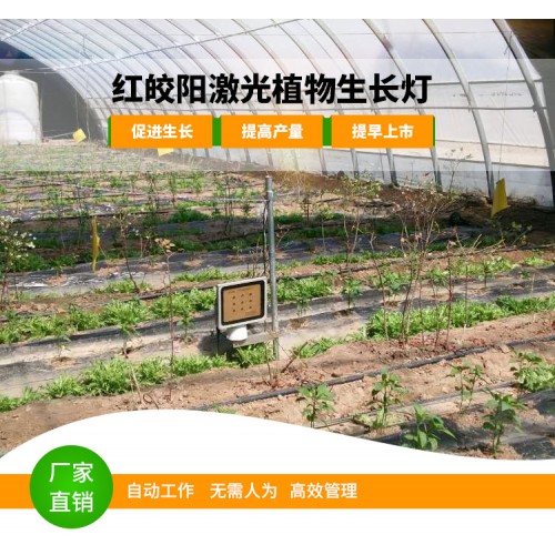 红皎阳激光补光灯