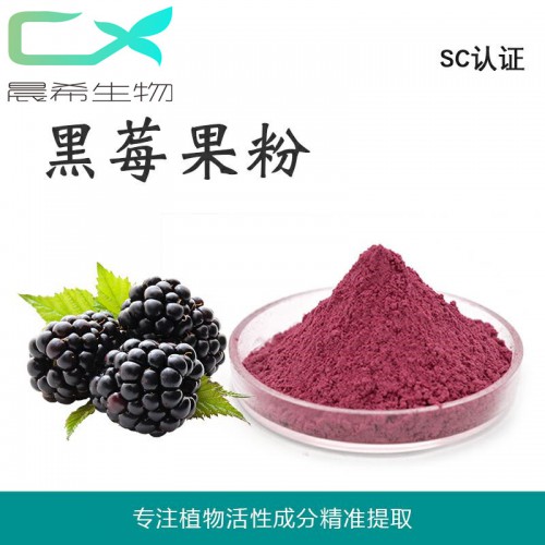 工厂直销黑莓果粉 黑莓果汁粉黑莓粉水溶或醇溶1kg起订包邮